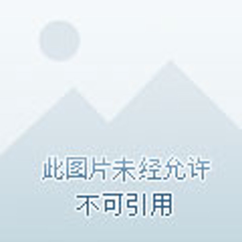 挑选进销存软件的智慧指南